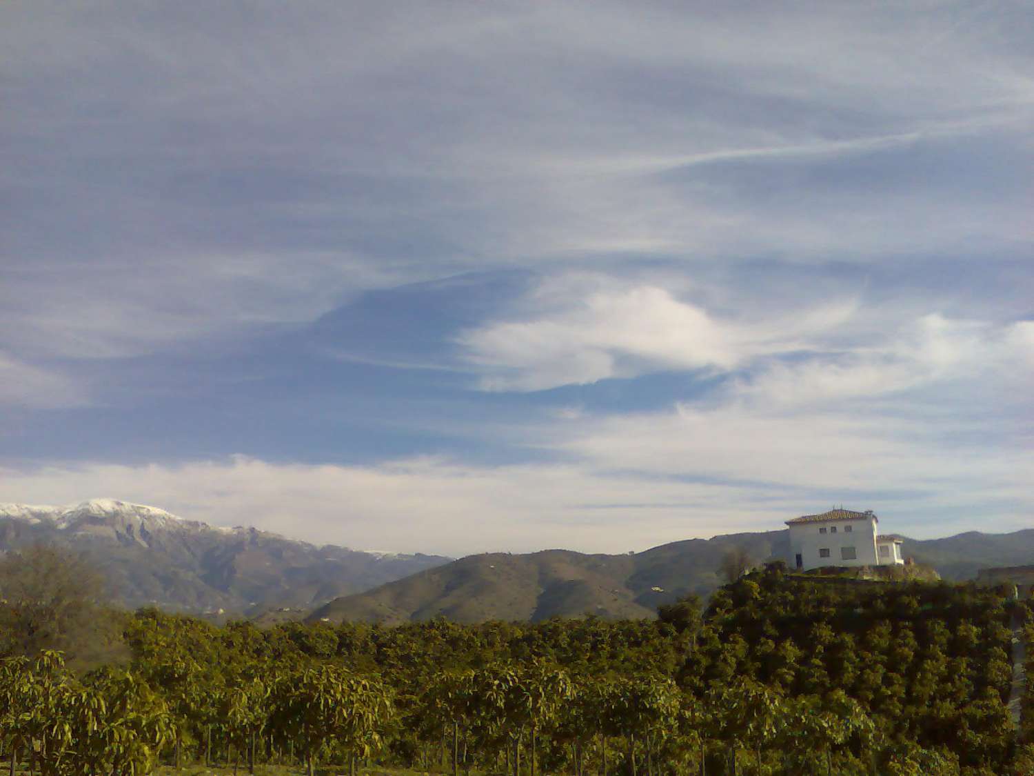 FATTORIA IRRIGATA IN AXARQUIA MALAGA CON ALLOGGIO DI 250 M2