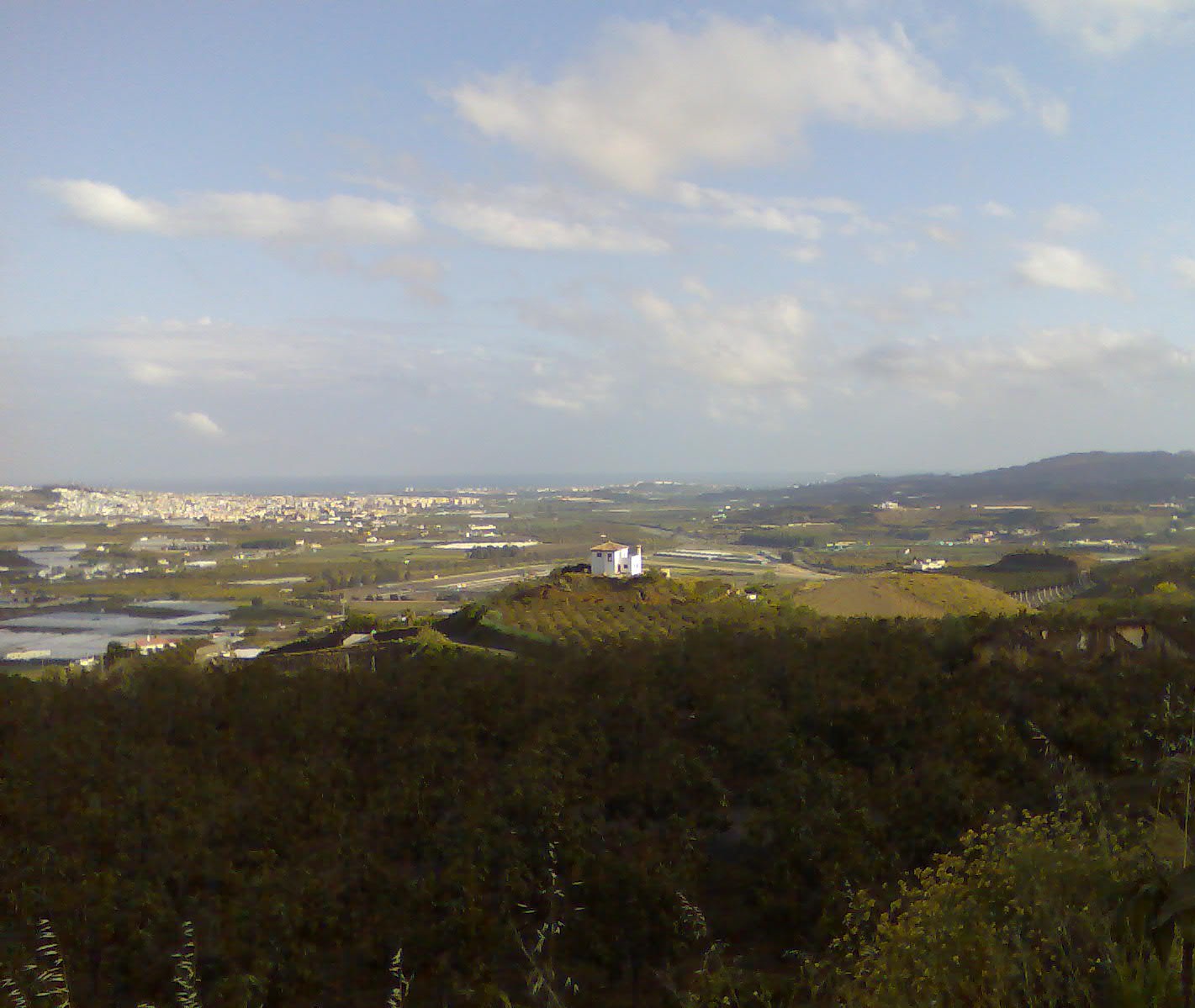 FATTORIA IRRIGATA IN AXARQUIA MALAGA CON ALLOGGIO DI 250 M2