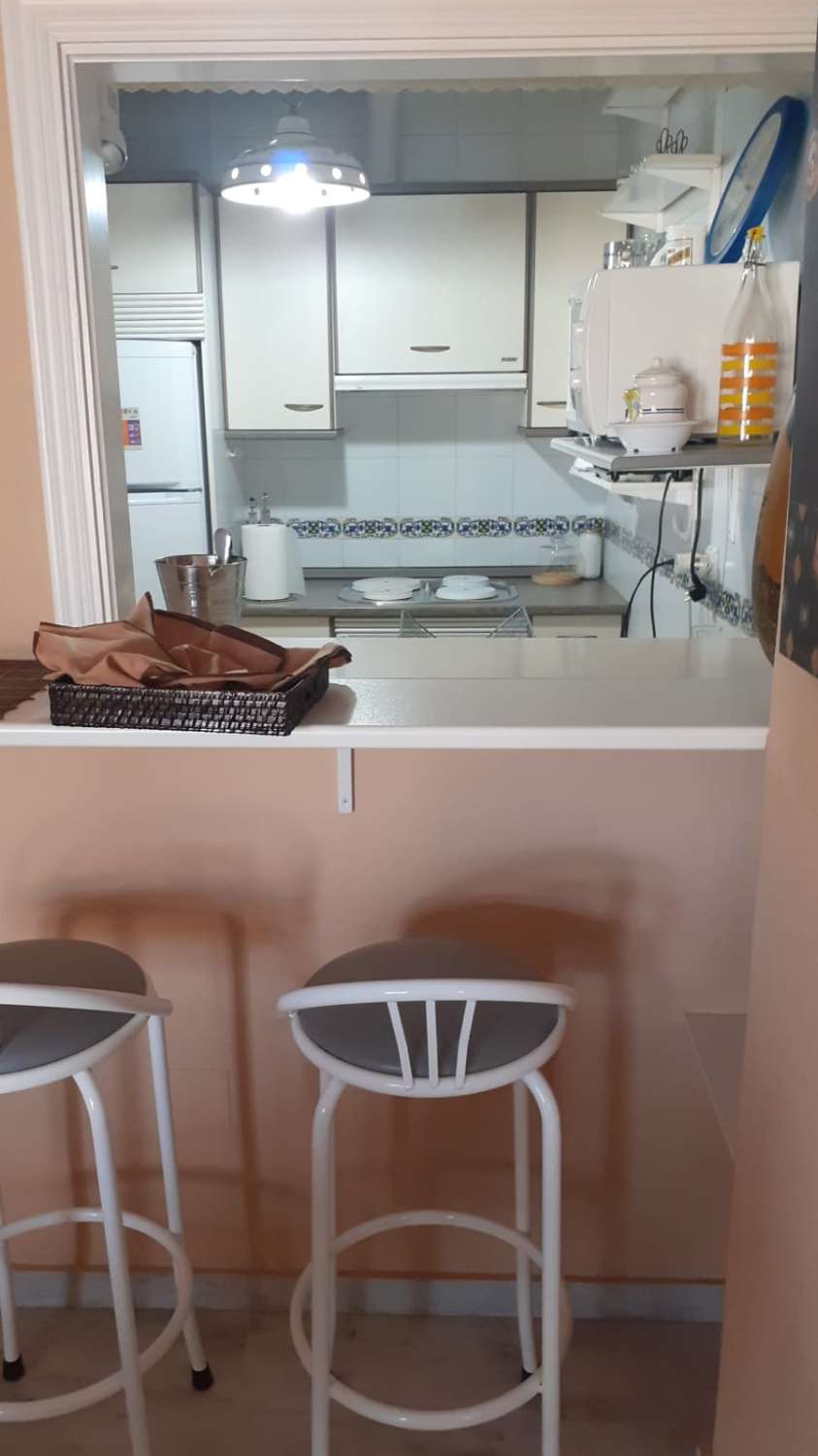 APARTAMENTO DE 1 DORMITORIO LARGA TEMPORADA