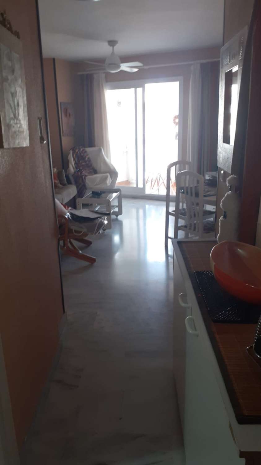 Apartamentua alokairuan in Parque de la Paloma (Benalmádena)