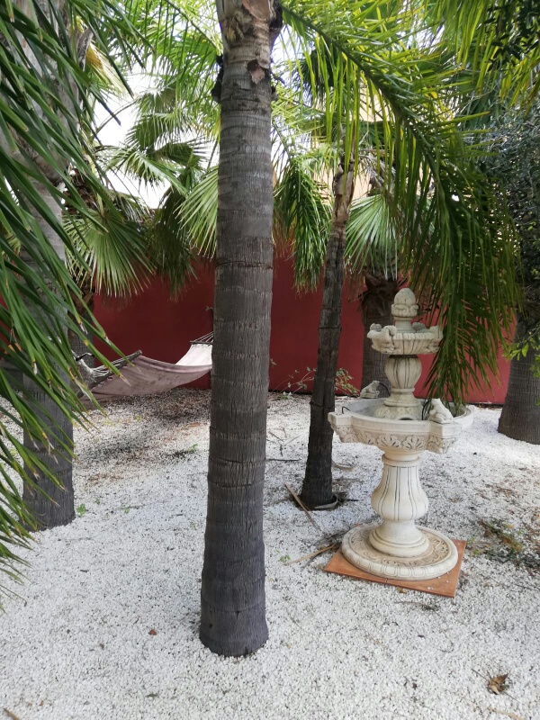 فيلا للإيجار في Benalmádena