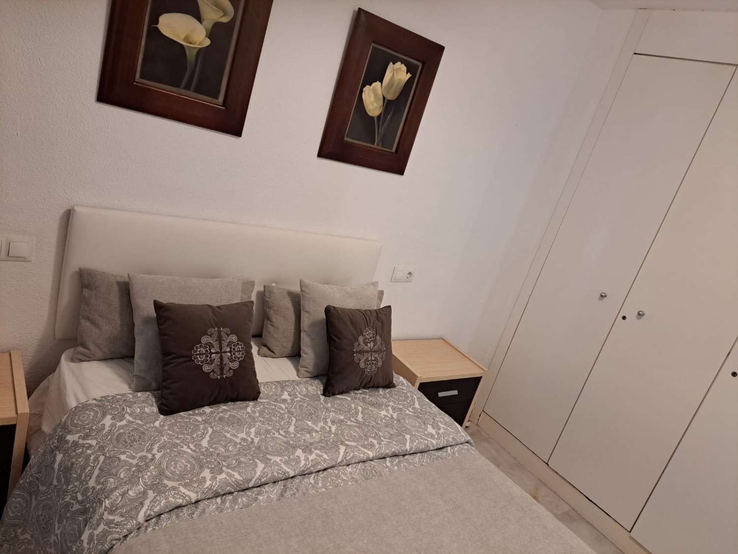 Long term rental in Gamonal